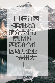中国江西-非洲投资推介会举行 赞比亚江西经济合作区助力企业“走出去”